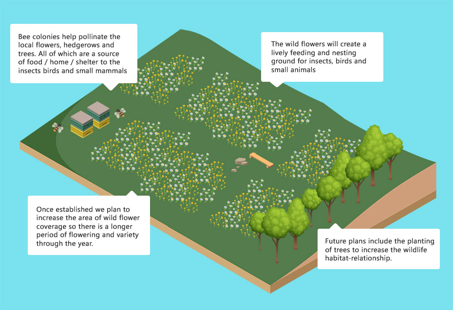 sustainability-plans