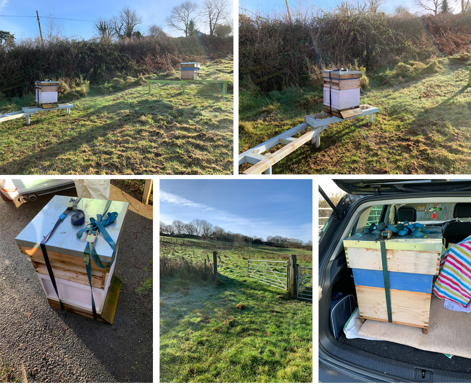 moving-hives-1