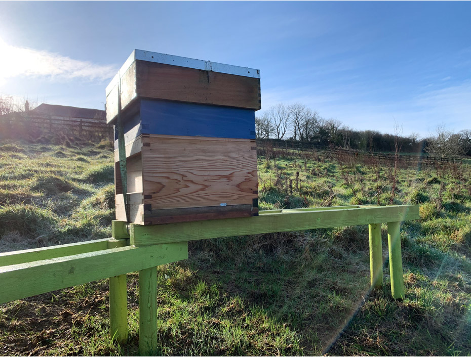 moving-hives-2